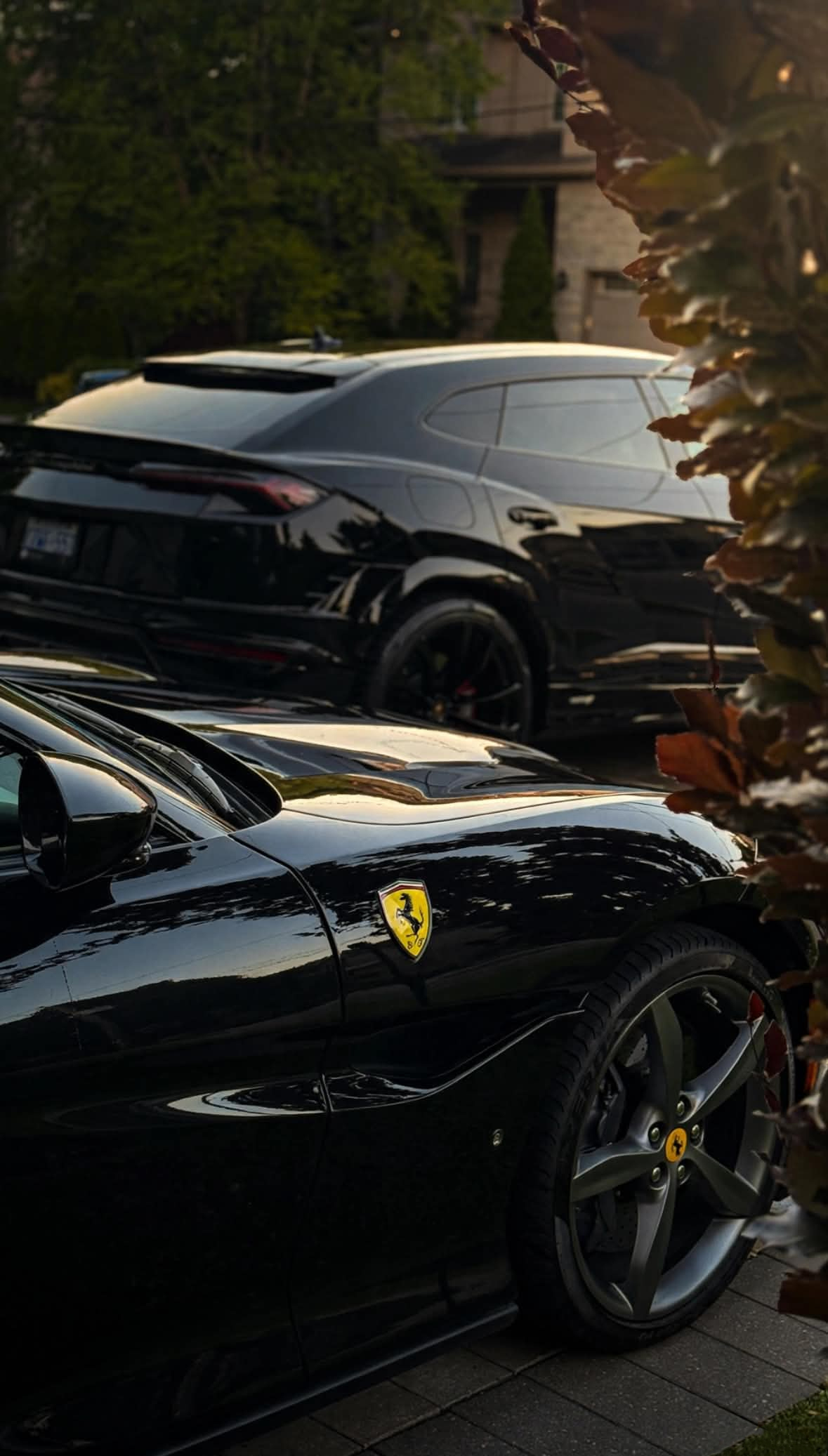 2GoSpotless detailing